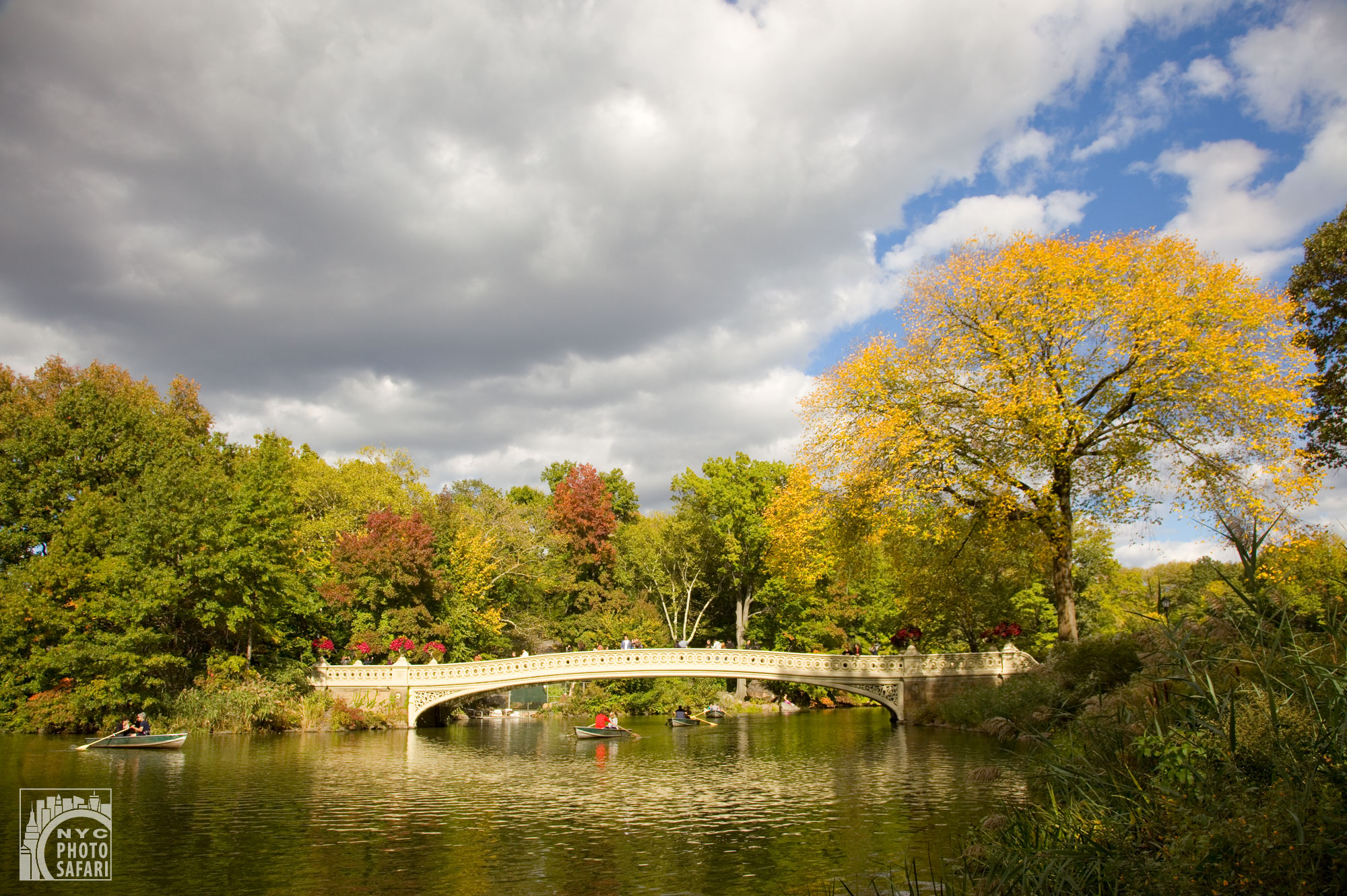 central_park_bow_bridge