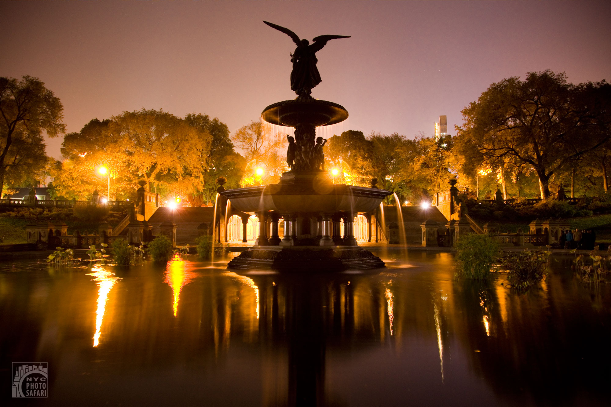 central_park_night photography tour