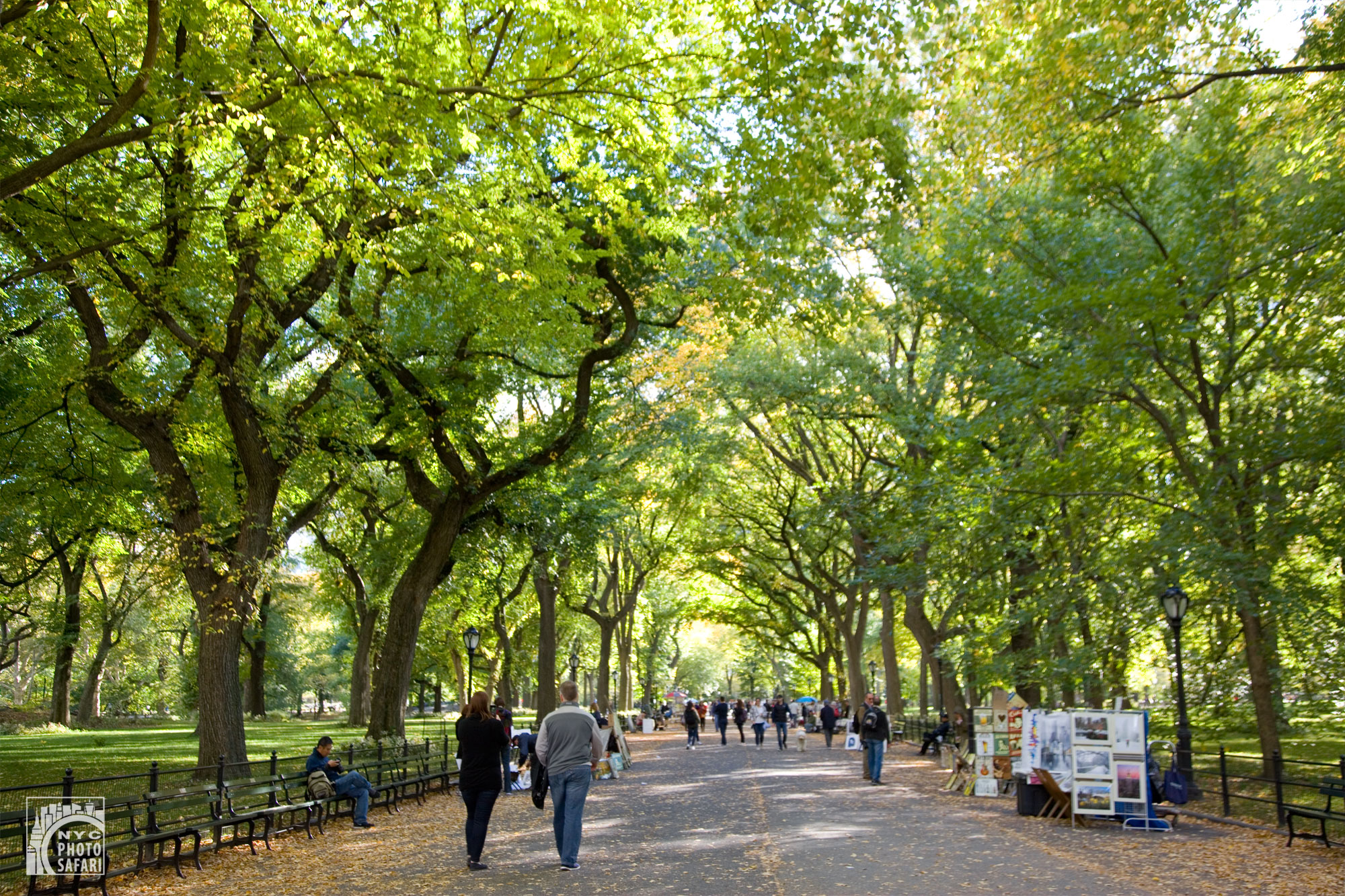 central_park_photo_tour