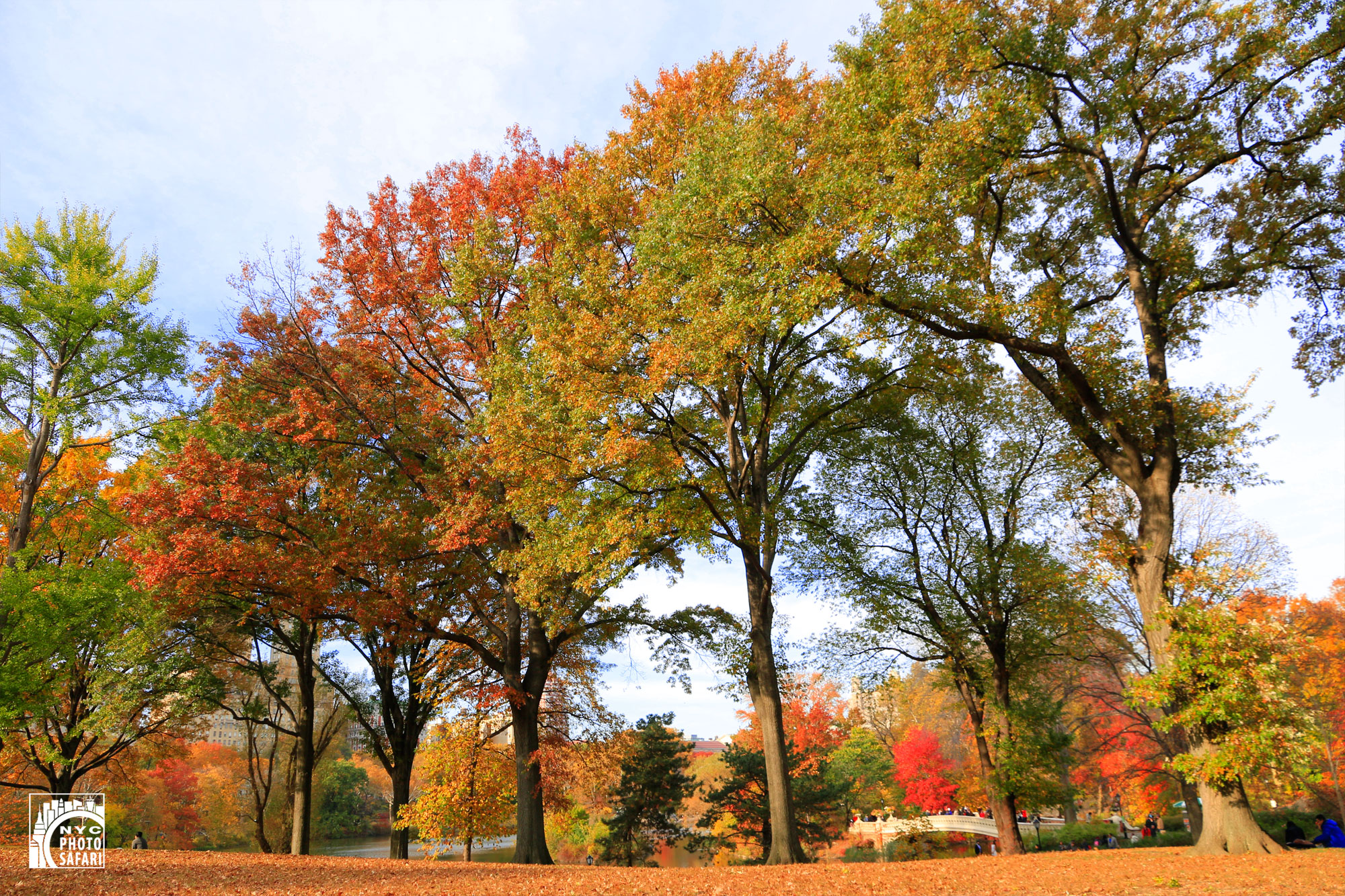 photo_tour_central_park_fall